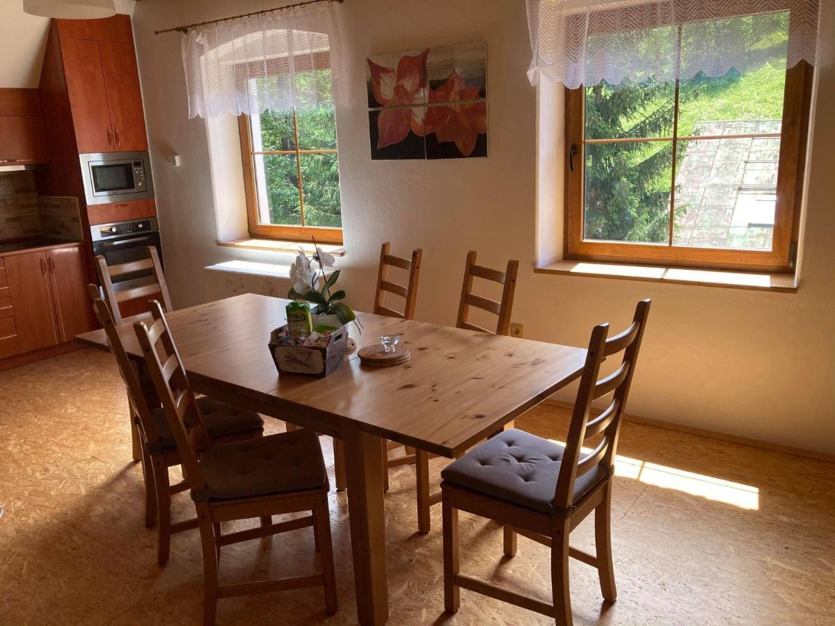 Apartma Doubek Rokytnice nad Jizerou Zewnętrze zdjęcie